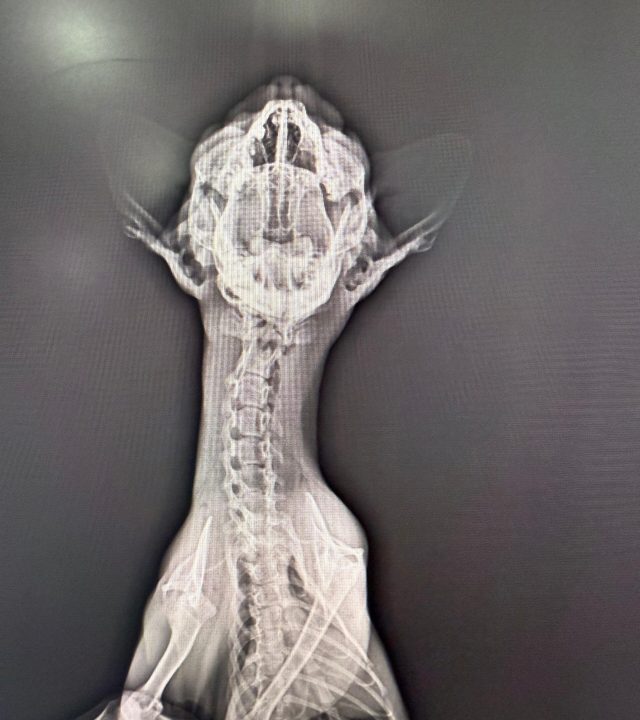 WhatsApp Image 2025-10-08 at 13.35.57