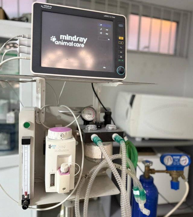 WhatsApp Image 2025-10-09 at 18.08.53