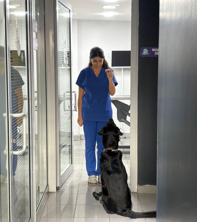 WhatsApp Image 2025-10-16 at 11.55.52 (1)