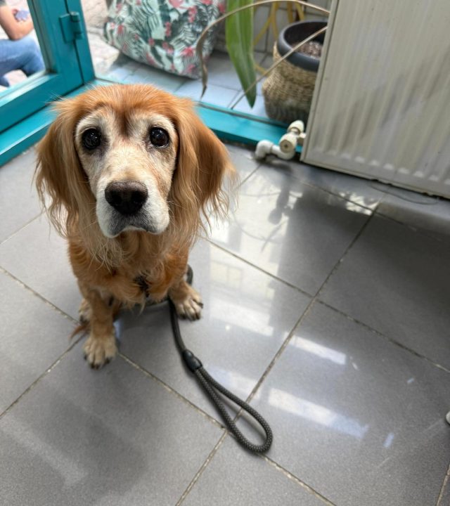 WhatsApp Image 2025-10-16 at 11.55.52 (3)