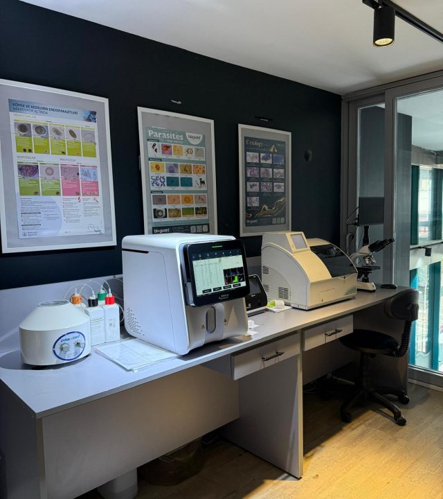 WhatsApp Image 2025-10-16 at 11.55.52 (6)