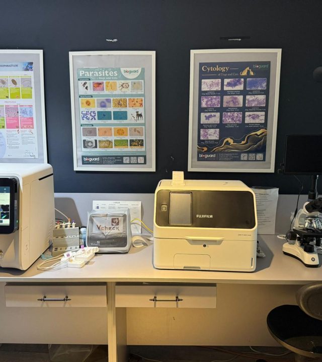 WhatsApp Image 2025-10-16 at 11.55.53 (3)