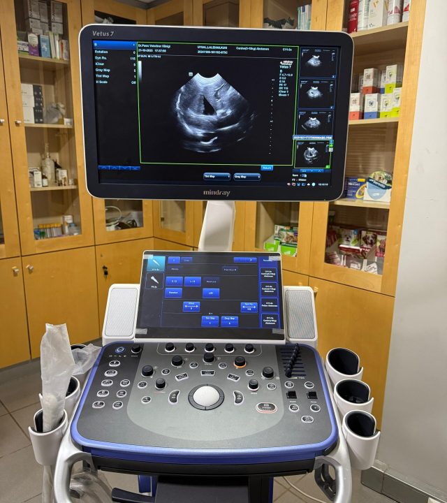 WhatsApp Image 2025-10-21 at 17.49.55 (1)